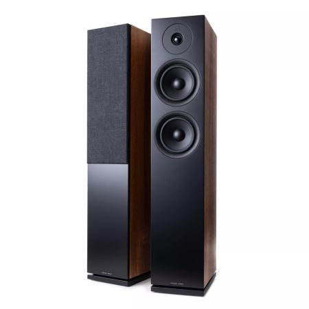argon audio forus 55